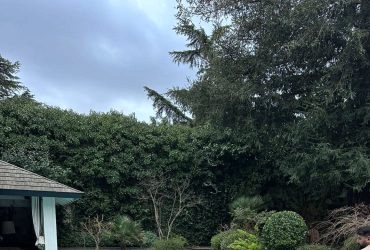 Tuz Klor Jeneratörü